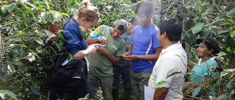 New Peruvian partner: Cultivar - Trabocca | In pursuit of great coffee